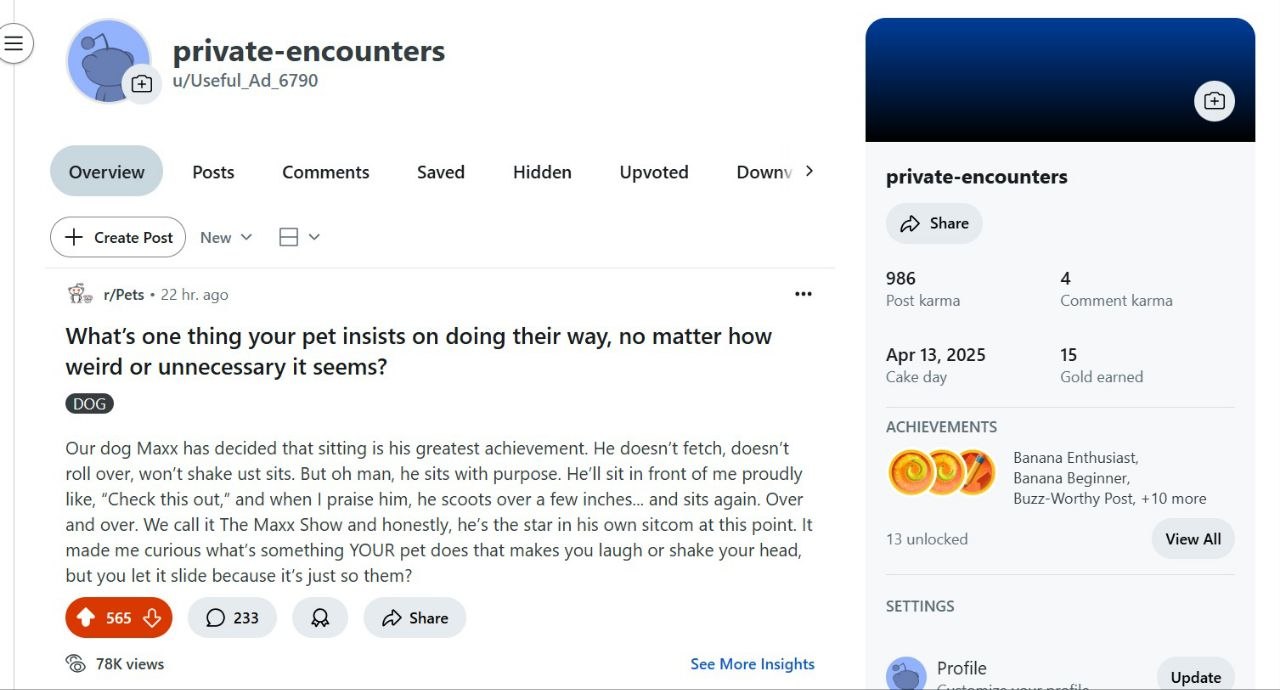 Reddit campaign proof — 6.3K views • r/advertising